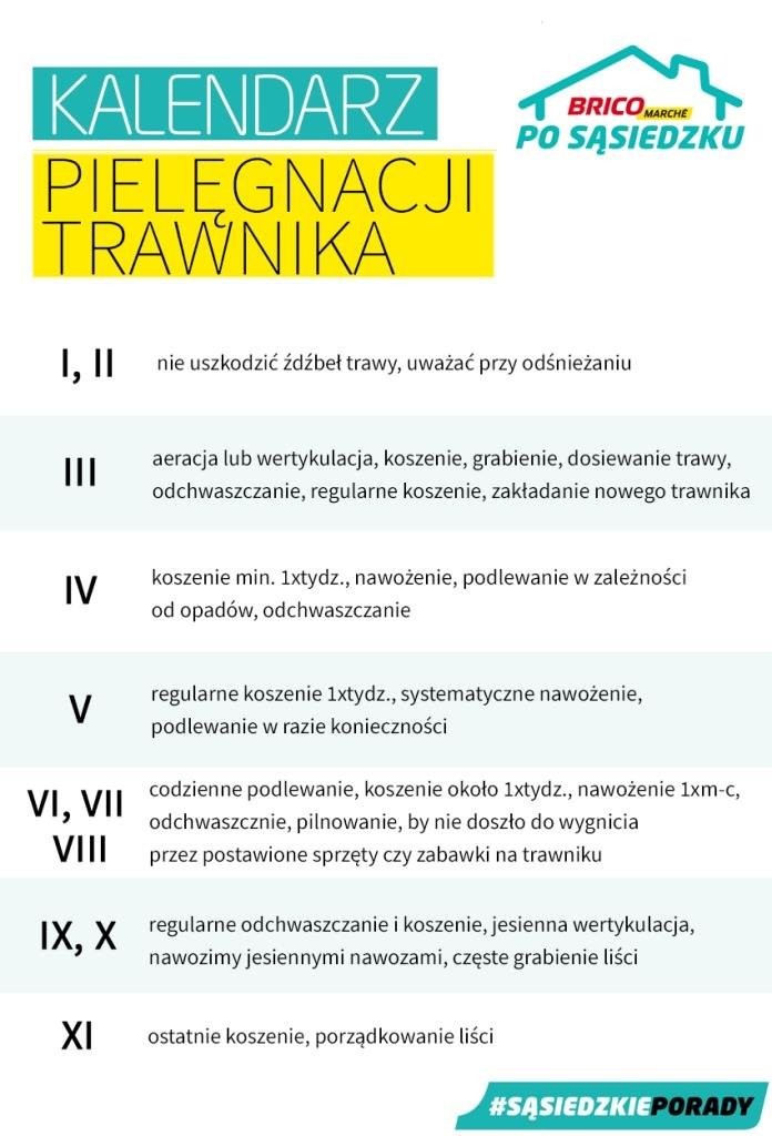 Kalendarz pielęgnacji trawnika autorstwa Bricomarche Kalendarz pielęgnacji trawnika autorstwa Bricomarche