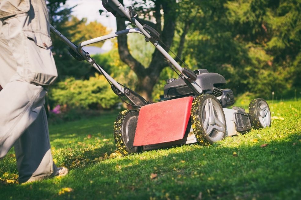 koszenie trawy jesienią koszenie trawy jesienią