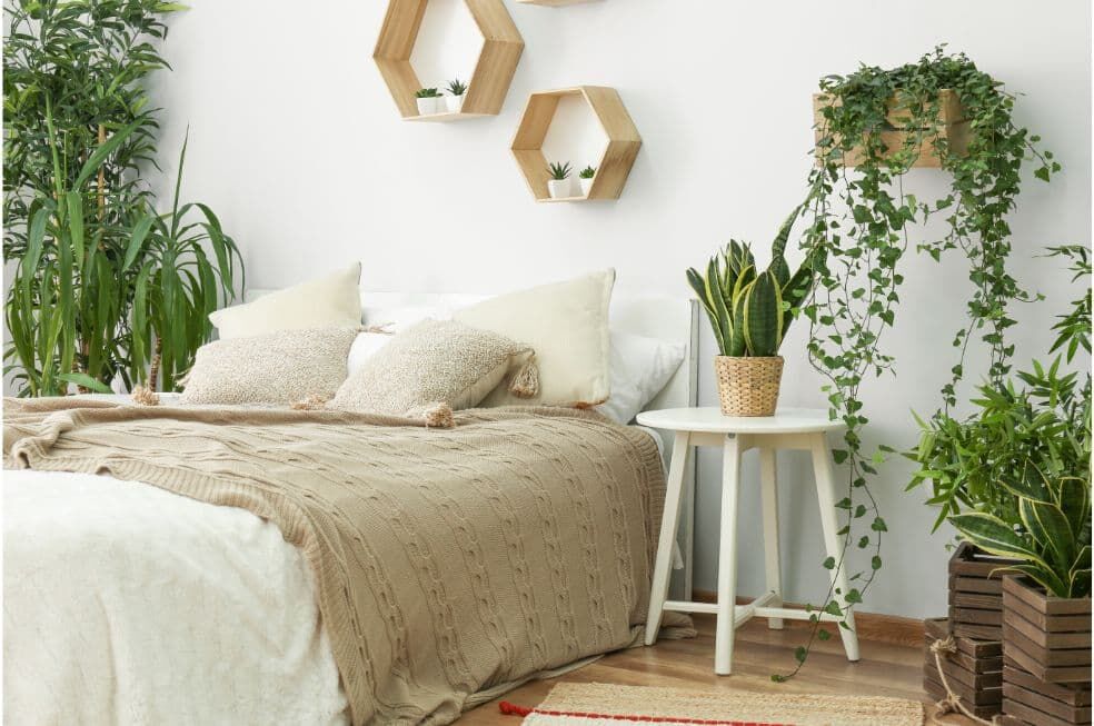 zielone rośliny doniczkowe przy łóżku w jasnej sypialni
