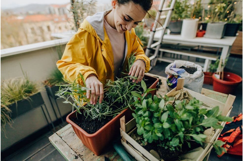 kobieta pielęgnująca rośliny balkonowe