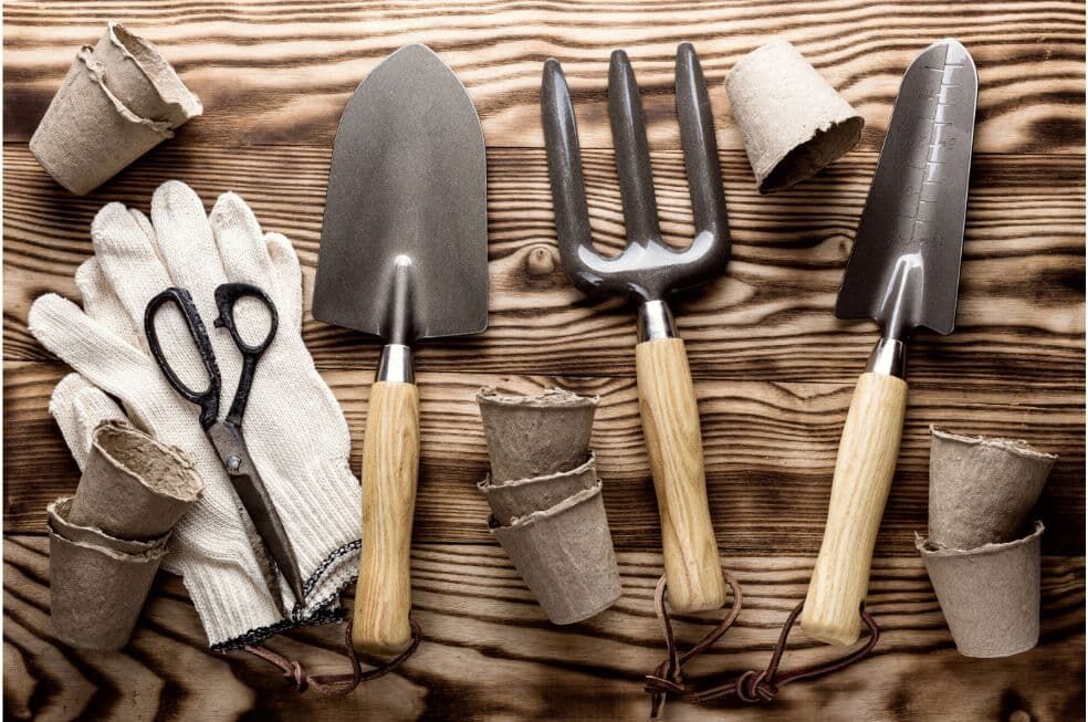 zestaw narzędzi ręcznych do ogrodu na drewnianym stole