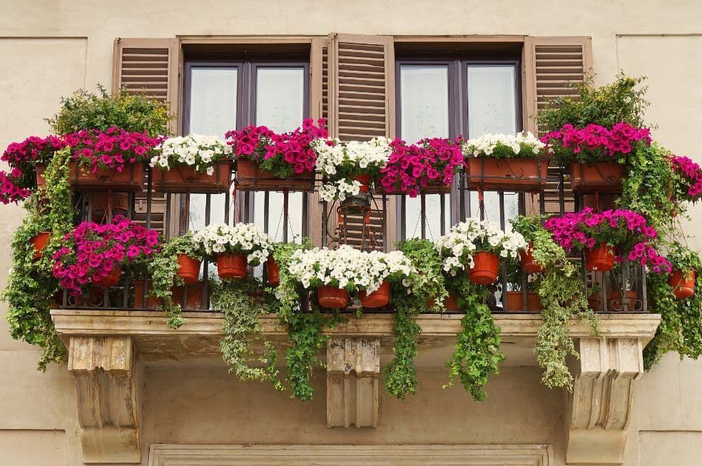 balkon ozdobiony różowo-białymi kwiatami