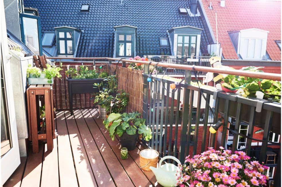 balkon z kwiatami oświetlony słońcem