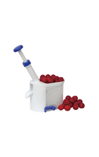 Drylownice