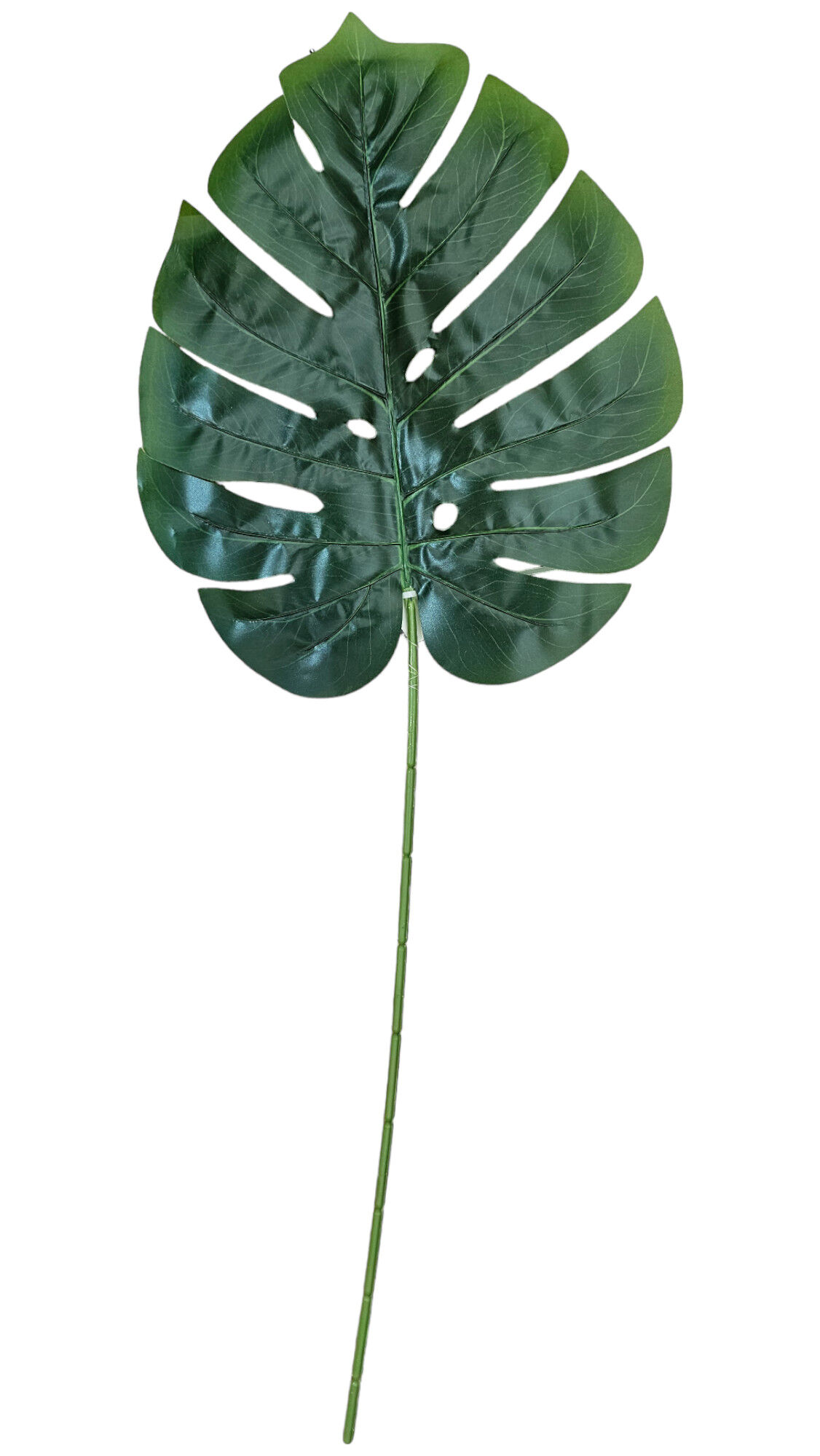 Monstera li 71 cm - Bricomarche.pl