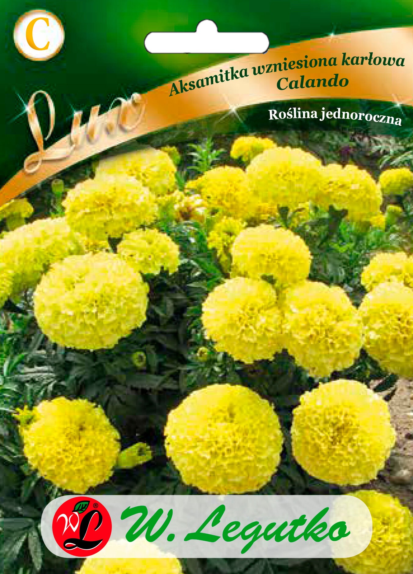 Bâton De Berge Télescopique SPRO Trout Master Spike – Longueur Réglable 35-50 Cm Ou 55-90 Cm – Aluminium Léger