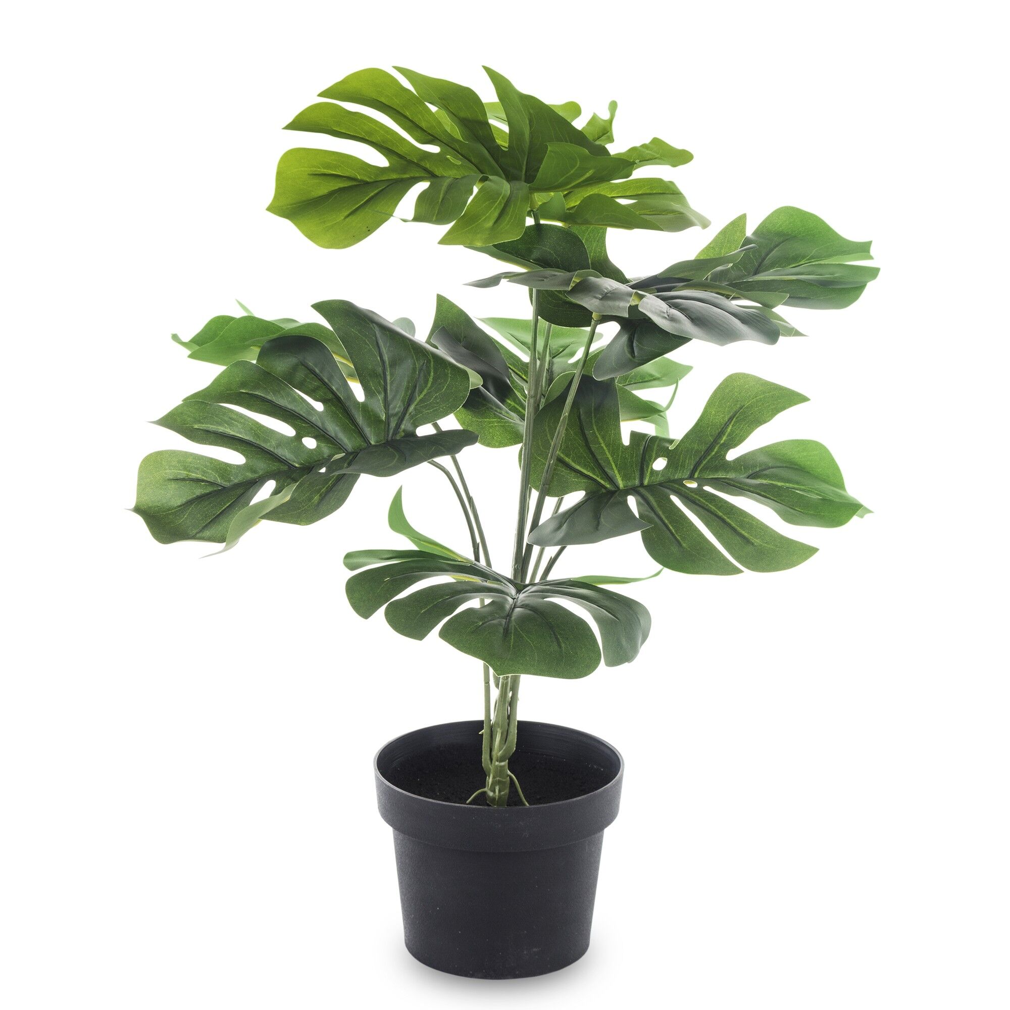 Rolina dekoracyjna kwiat monstera 55 cm - Bricomarche.pl