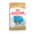 Karma dla psów CAVALIER KING CHARLES PUPPY 1,5 kg ROYAL CANIN