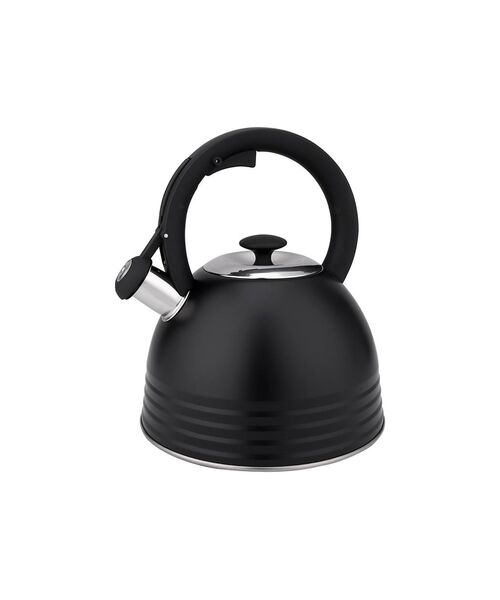 Czajnik nierdzewny Terrano 2,5 l czarny