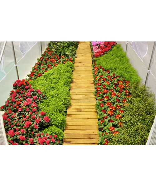 Tunel Ogrodowy 200 cm x 300 cm (6 m2) biały