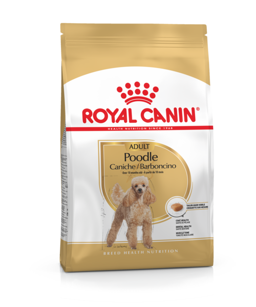 Karma dla psów POODLE ADULT 1,5 kg ROYAL CANIN