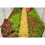 Tunel Ogrodowy 200 cm x 300 cm (6 m2) biały