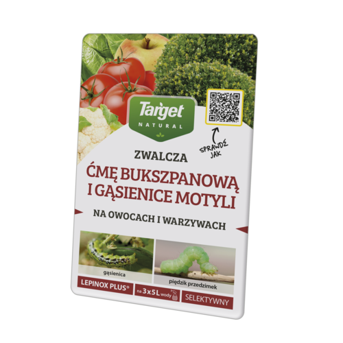 Środek owadobójczy na ćmę bukszpanową i gąsienice motyli Lepinox Plus 3 x 10 g Target