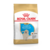 Karma dla psów GOLDEN RETRIEVER PUPPY 3 kg ROYAL CANIN