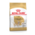 Karma dla psów CHIHUAHUA ADULT 500 g ROYAL CANIN