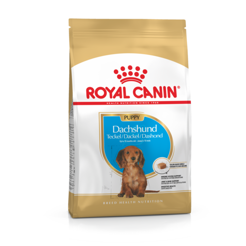 Karma dla psów DACHSHUND PUPPY 1,5 kg ROYAL CANIN