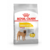 Karma sucha dla psów dorosłych Medium Dermacomfort 3 kg Royal Canin