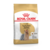 Karma dla psów YORKSHIRE TERRIER ADULT 500 g ROYAL CANIN
