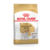 Karma dla psów JACK RUSSELL ADULT 500 g ROYAL CANIN