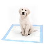 Mata absorbująca Dog Mats 90 x 60 cm 30 szt.