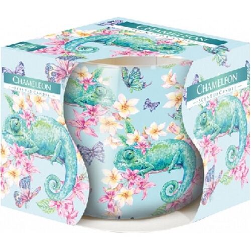 Świeca zapachowa w szkle SN71 kameleon Bispol