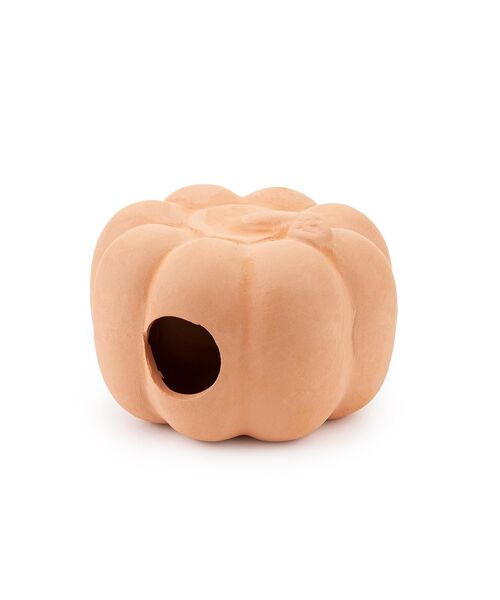 Dynia 8 cm U951