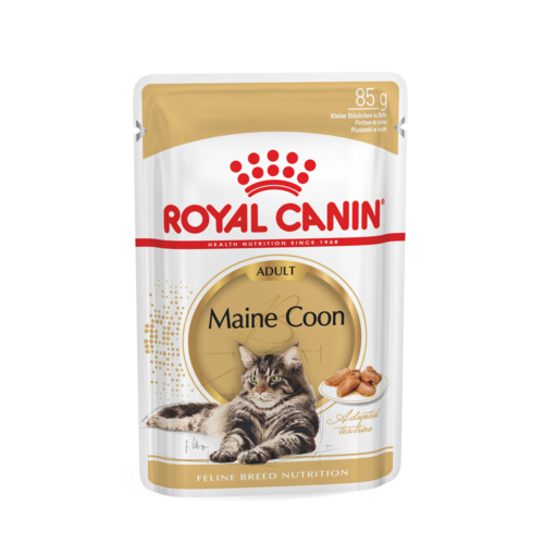 Karma dla kotów MAINE COON 85 g ROYAL CANIN