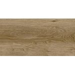 Gres szkliwiony G317 Brown 29,8 x 59,8 cm