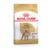 Karma dla psów POODLE ADULT 1,5 kg ROYAL CANIN