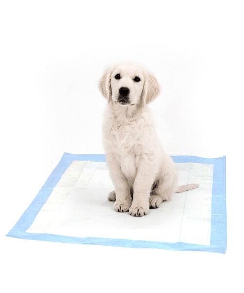 Mata absorbująca Dog Mats 90 x 60 cm 10 szt.