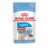 Karma dla psów MEDIUM PUPPY 4 kg ROYAL CANIN