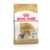 Karma dla psów CAVALIER KING CHARLES ADULT 1,5 kg ROYAL CANIN