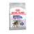 Karma dla psów MINI STERILISED 1 kg ROYAL CANIN