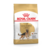 Karma dla psów GERMAN SHEPHERD ADULT 11 kg ROYAL CANIN