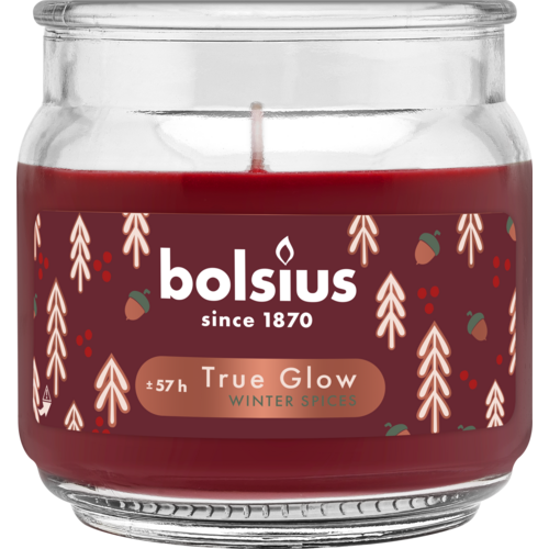 Świeca zapachowa 100/99 Winter Spices