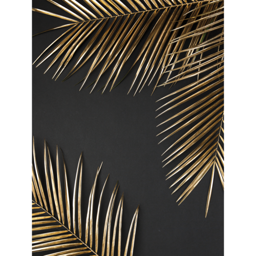 Grillgitter Doppel – 30x40 Cm, Verchromter Stahl, Mit Holzgriff, Für BBQ & Grillen