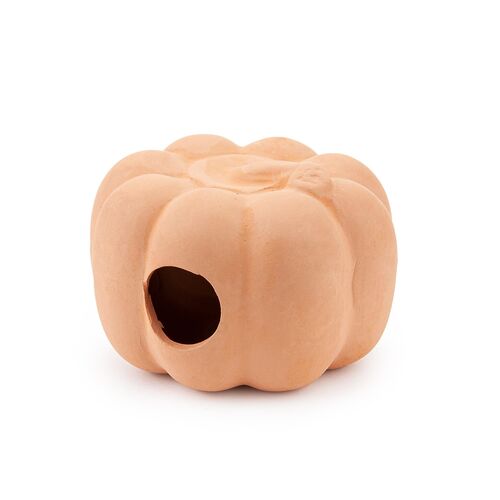 Dynia 8 cm U951