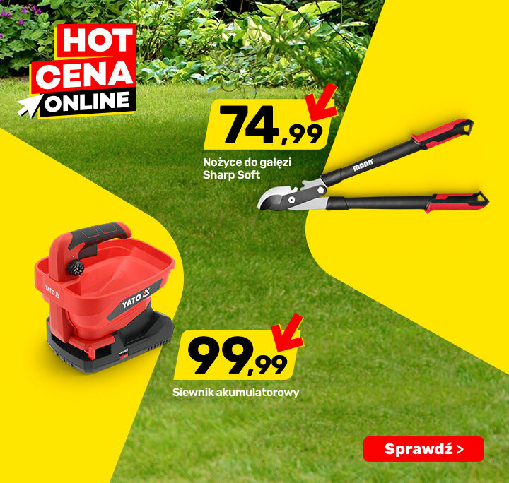 Hot cena online