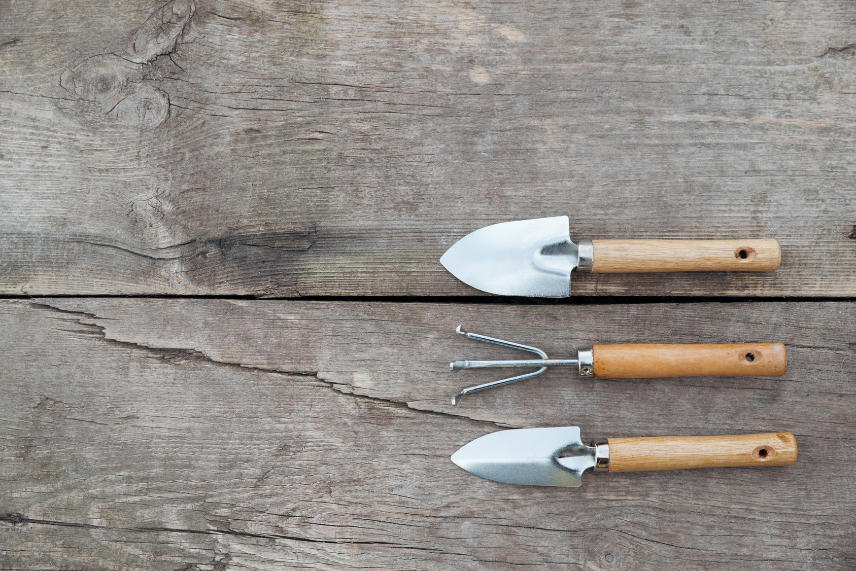 Motyka i lopatka przydatne narzedzia ogrodowe