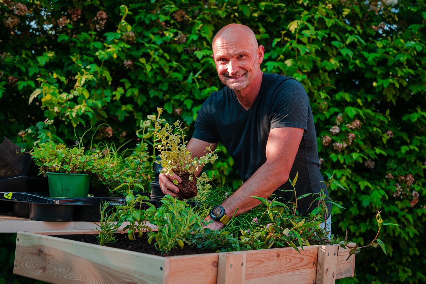 Budowa przydomowego zielnika