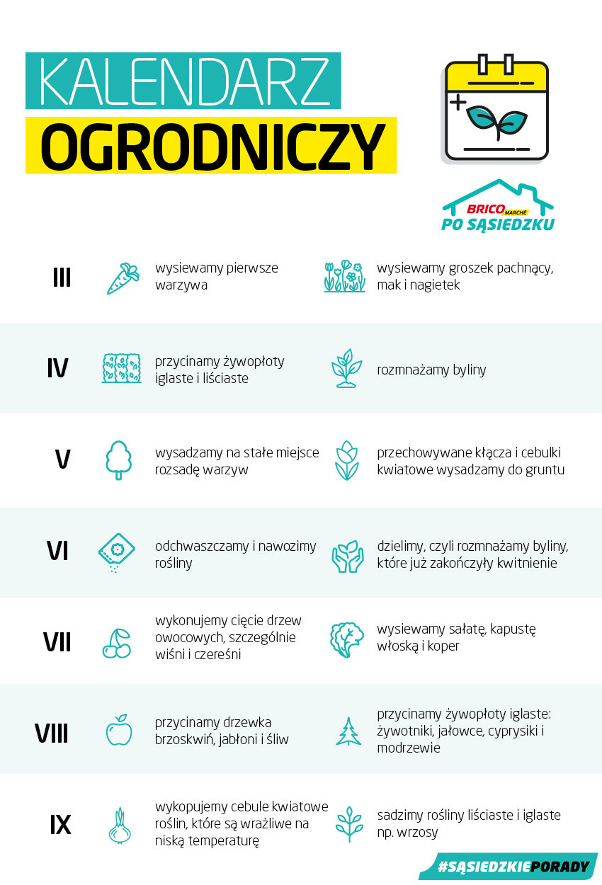 Kalendarz ogrodniczy pielęgnacji i podlewania od Bricomarche