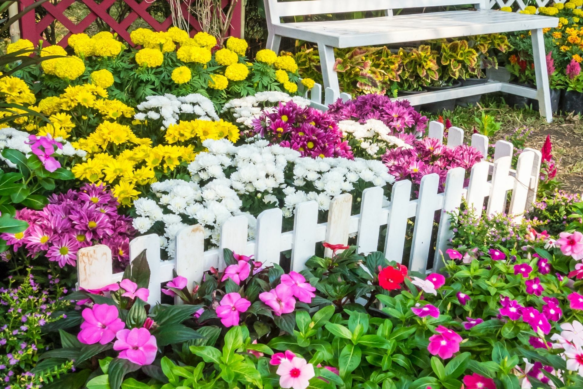 Jaki płotek ogrodowy wybrać? 