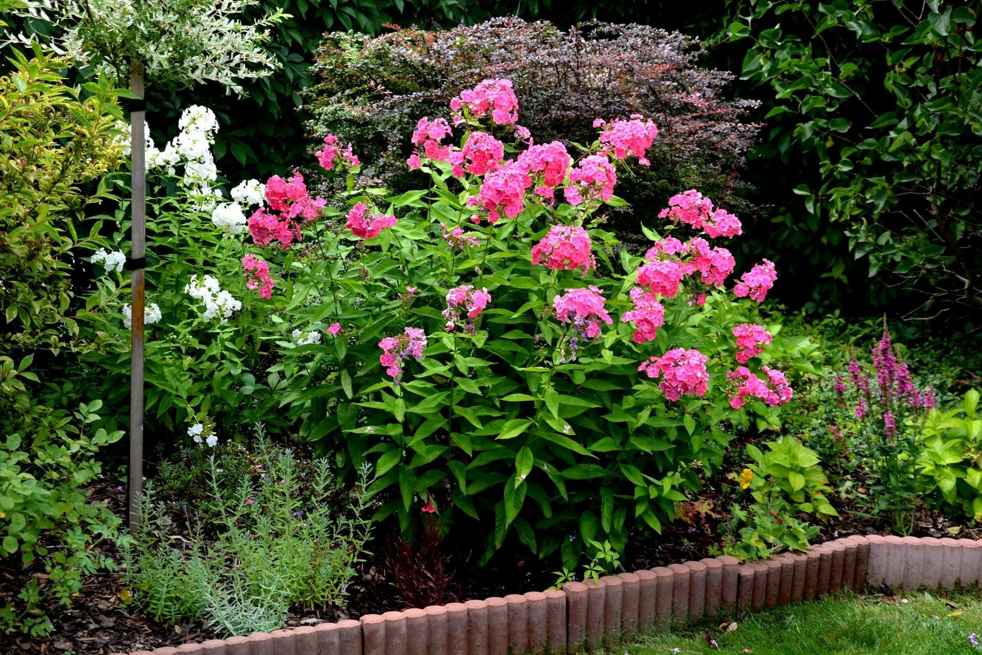 jaki materiał na płot ogrodowy