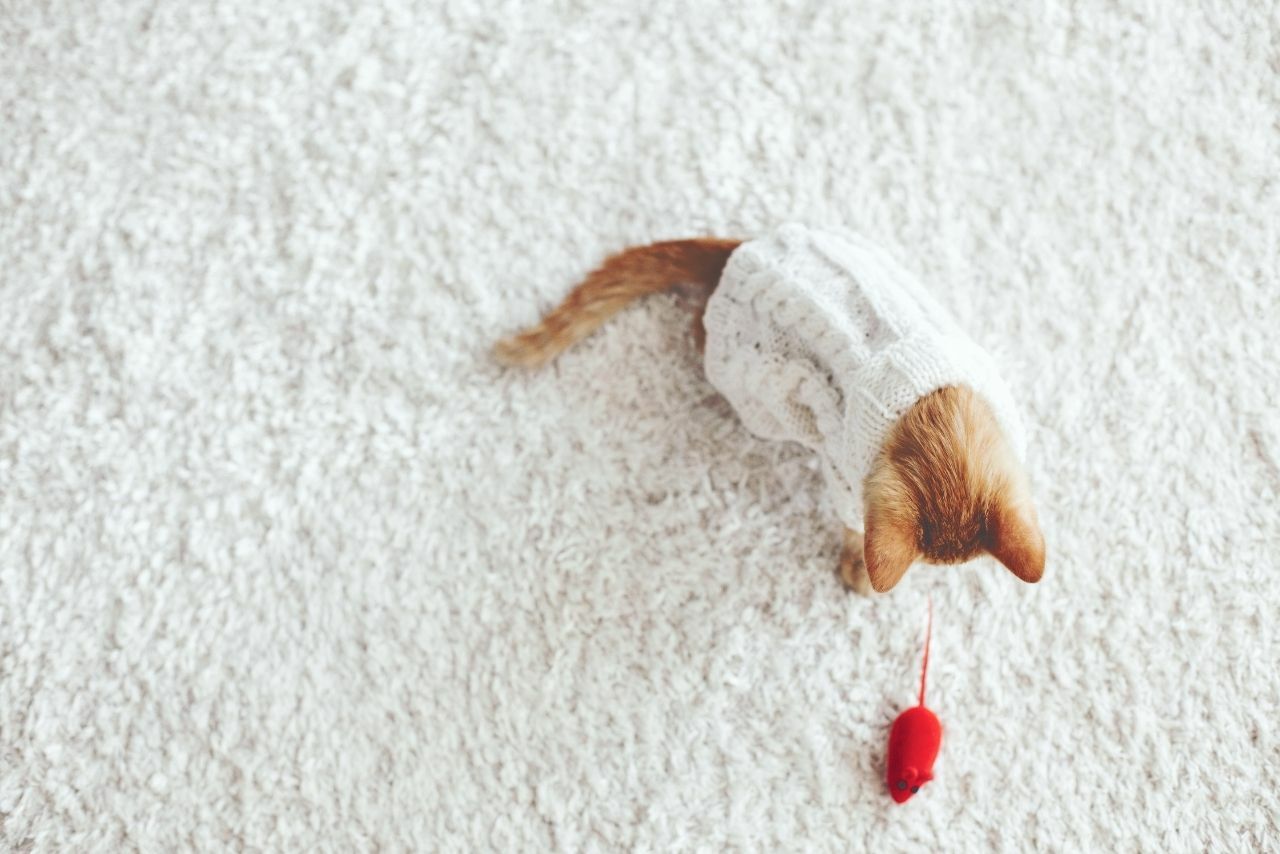 myszka zabawka dla kota