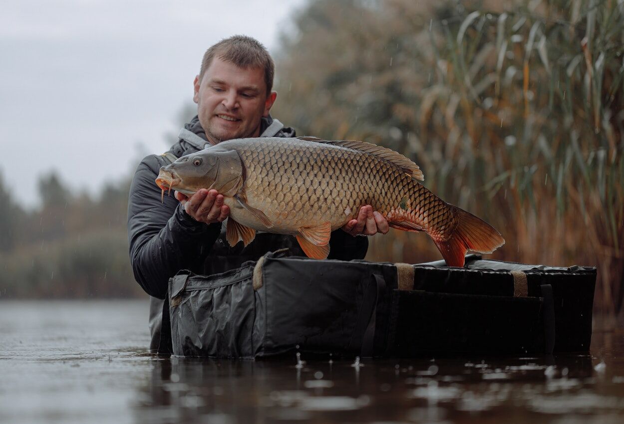 wędkowanie, połów karpia