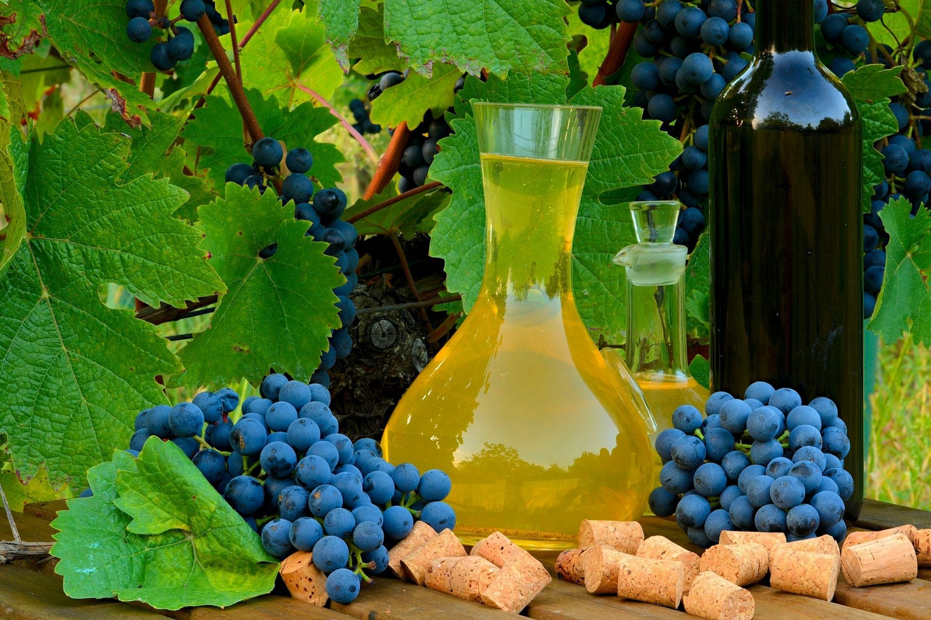 wskazówki, jak robić wino z owoców