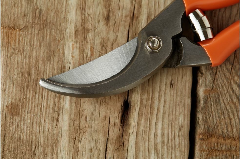 Jak naostrzyć sekator?