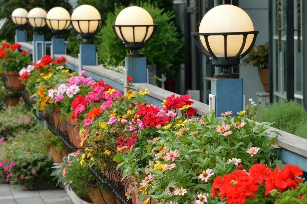 Jakie kwiaty do donic ogrodowych i na taras?