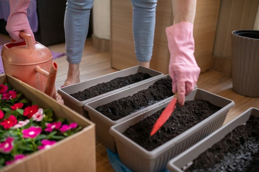 jaka ziemia do kwiatów