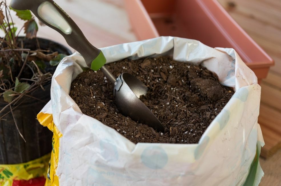 ziemia do storczyków i draceny